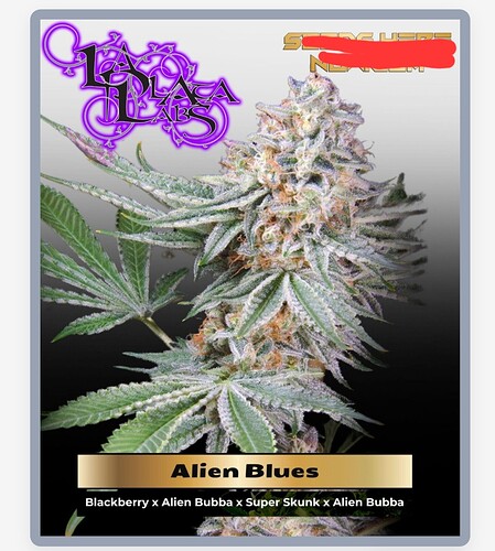 Screenshot_20251001_133439_Chrome