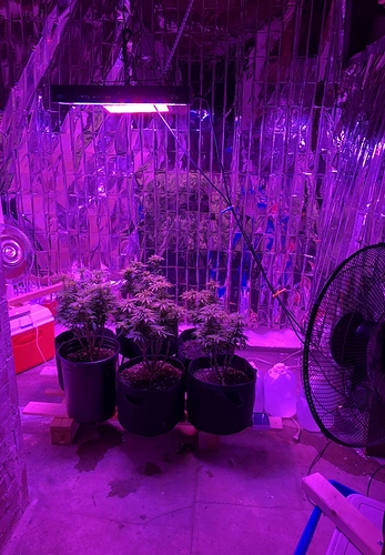 Full_room