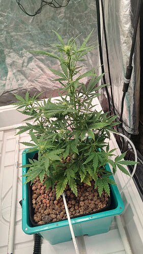IMG_20250707_124746768_HDR