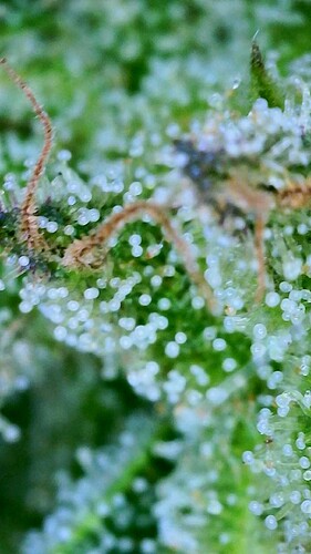 2024_09_23_17_53_46_055