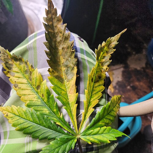 2eaa3209-e3e6-4f91-b24b-8d698771ccdb-1_all_9490