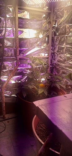 20220610_095835_HDR