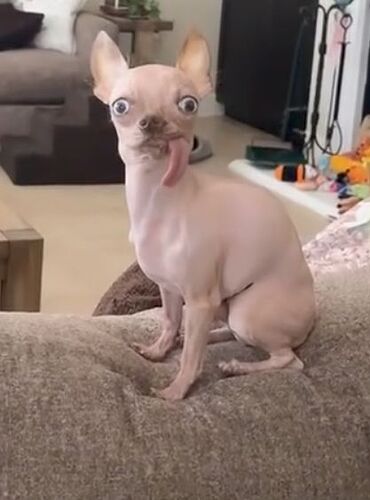 1000000371