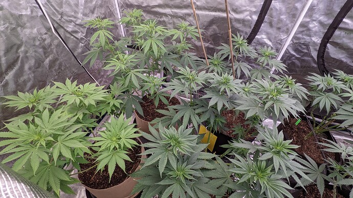 PXL_20211231_025238259