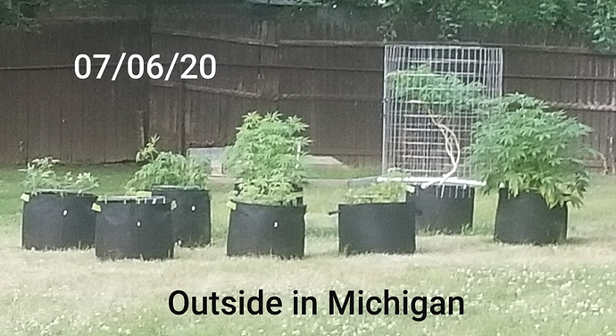 20200706_205940