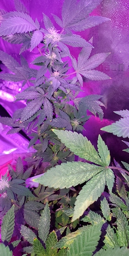 20201022_132655