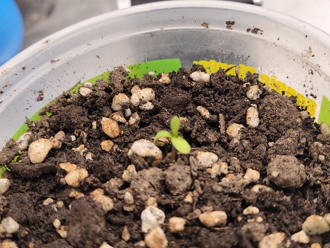 16969489933651564067896504341808