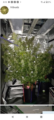 Screenshot_20240122-051349