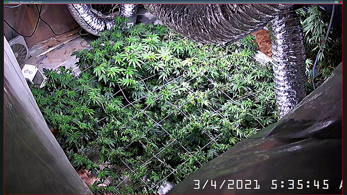 Screenshot (40) - Copy