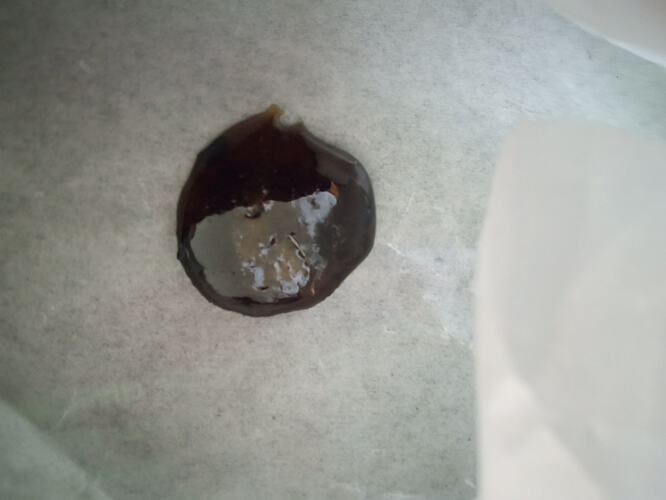 IMG_20251105_160521687