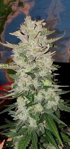 20220106_063748