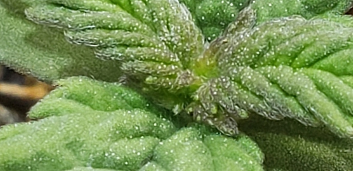 7%20Nov%202019