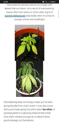 Screenshot_20221010-182906_Chrome