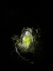 IMG_1073