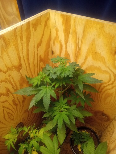 IMG_20250109_070422508