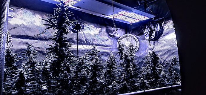 0808222058_HDR~2