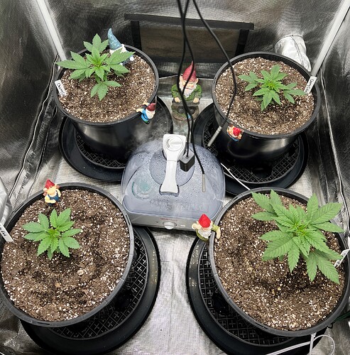 Week 3