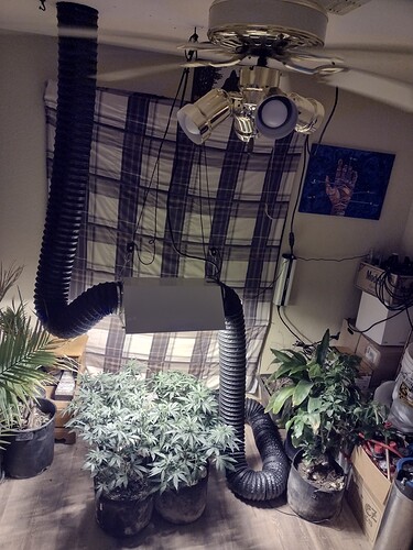 IMG_20211225_095001435_HDR