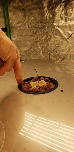 20210126_091559