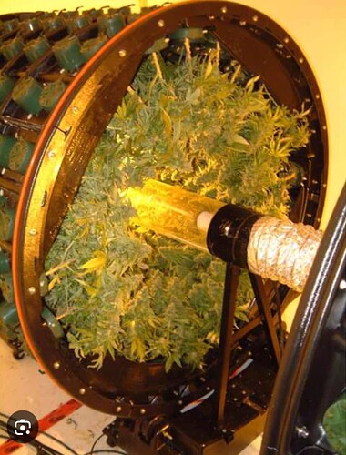 Screenshot_20250610-190030