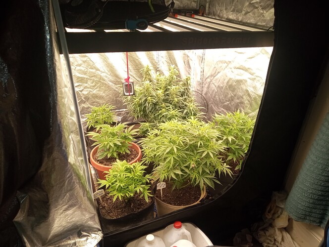 IMG_20250822_224928481