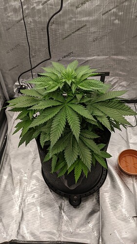 PXL_20240506_225928407