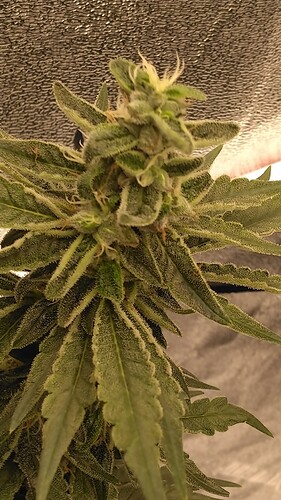 KIMG2335