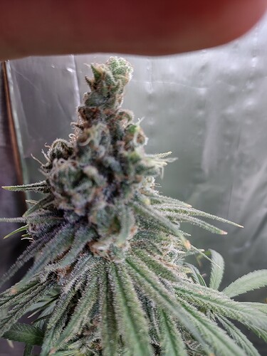 IMG_20220905_084052533_HDR
