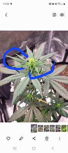 Screenshot_20230605_112325_Gallery