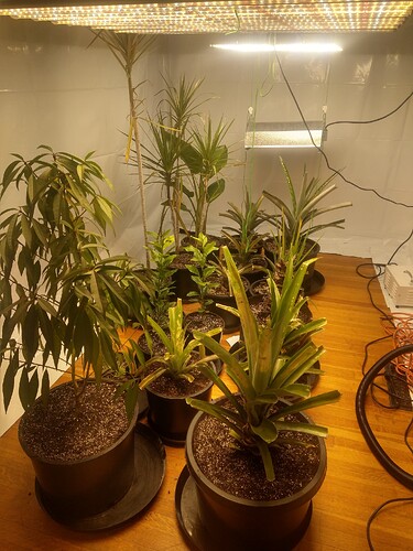 IMG_20231105_152625920_HDR