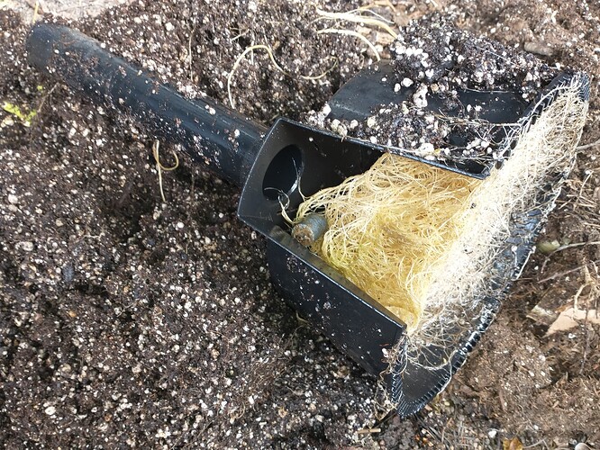 IMG_20240626_084432154