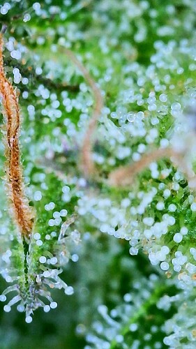 2024_09_23_17_53_50_447