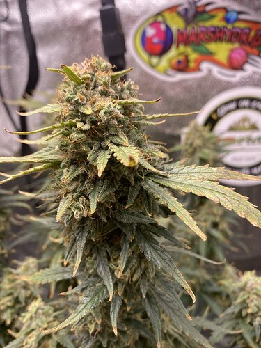 photo_1_2024-05-27_03-37-54