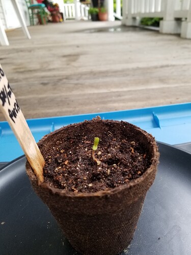 1653772110029_20220528_153939