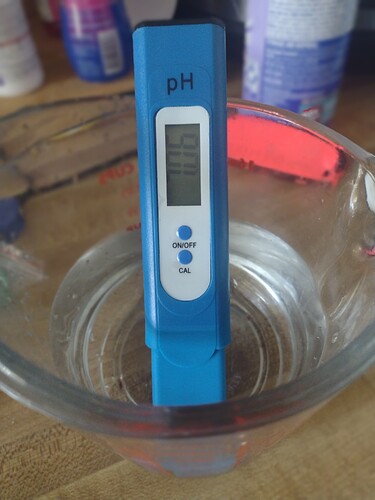 IMG_20241102_113924376_PORTRAIT