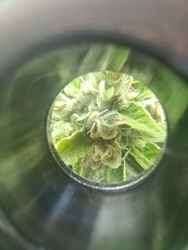 20220718_173031