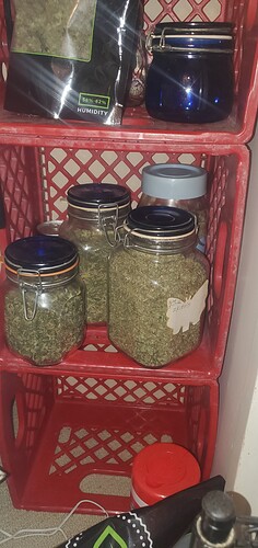 16665566208897668800072649219672