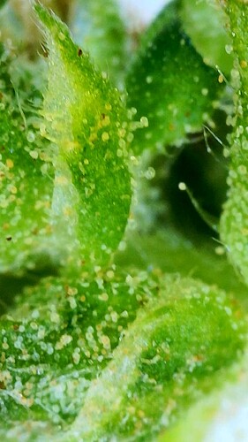 Image_2025-09-21 19_04_34_111