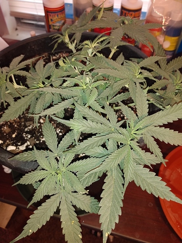 IMG_20200513_091112356