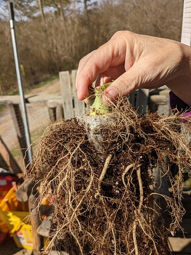 PXL_20230214_162424801