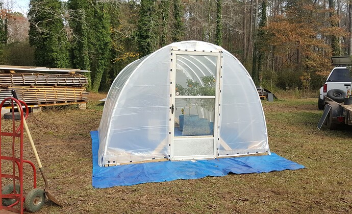 Greenhouse 2