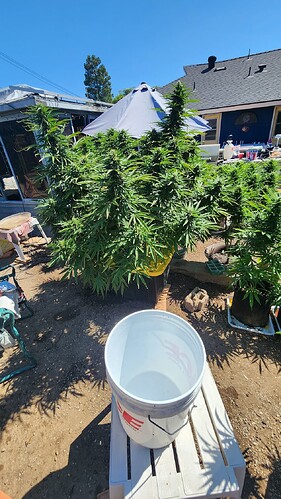 17566664035974942379548957252776