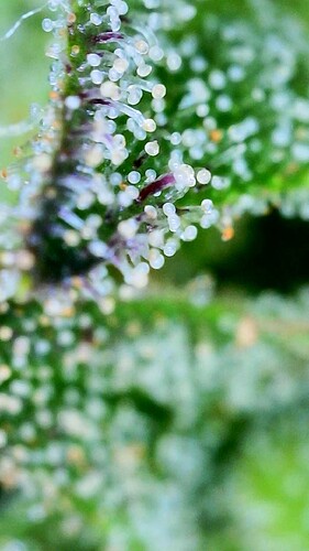 2024_09_23_17_56_22_124