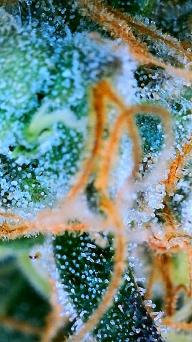 2024-05-17-16-34-55-464