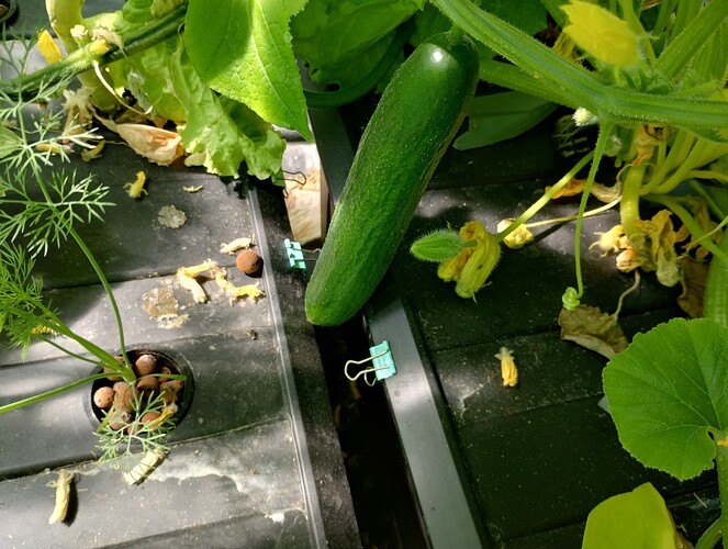 IMG_20250323_120055473_HDR