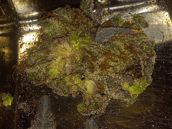 IMG_20251101_175455992