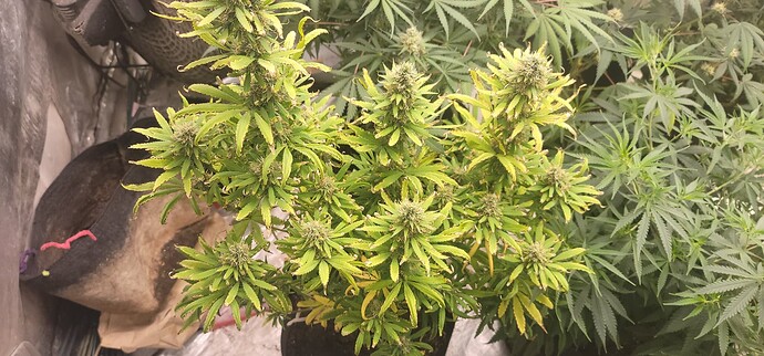 1661566836813430270522747273074