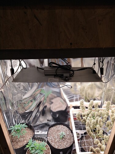 IMG_20220203_182312164