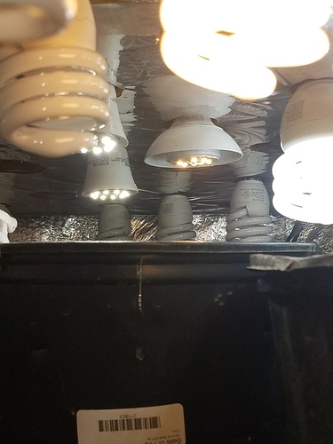 20191107_102035