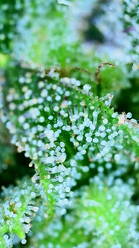 2024_09_23_17_56_06_712